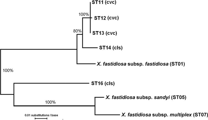 Fig 3