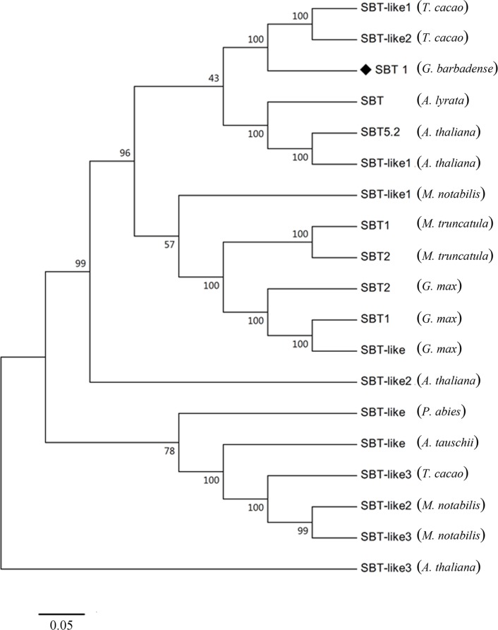 Fig 2