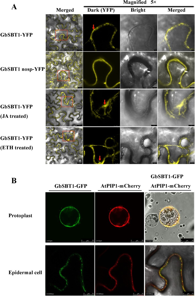 Fig 4