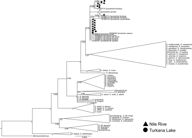 Figure 6