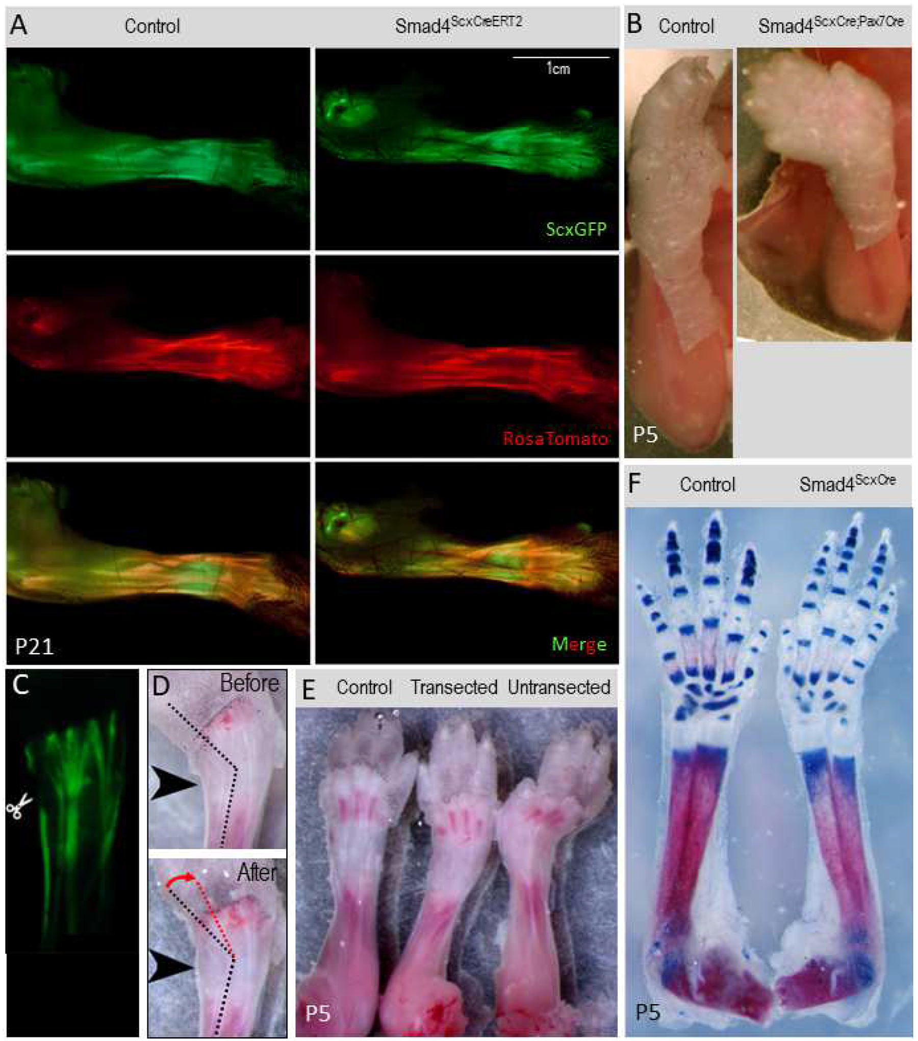 Figure 3: