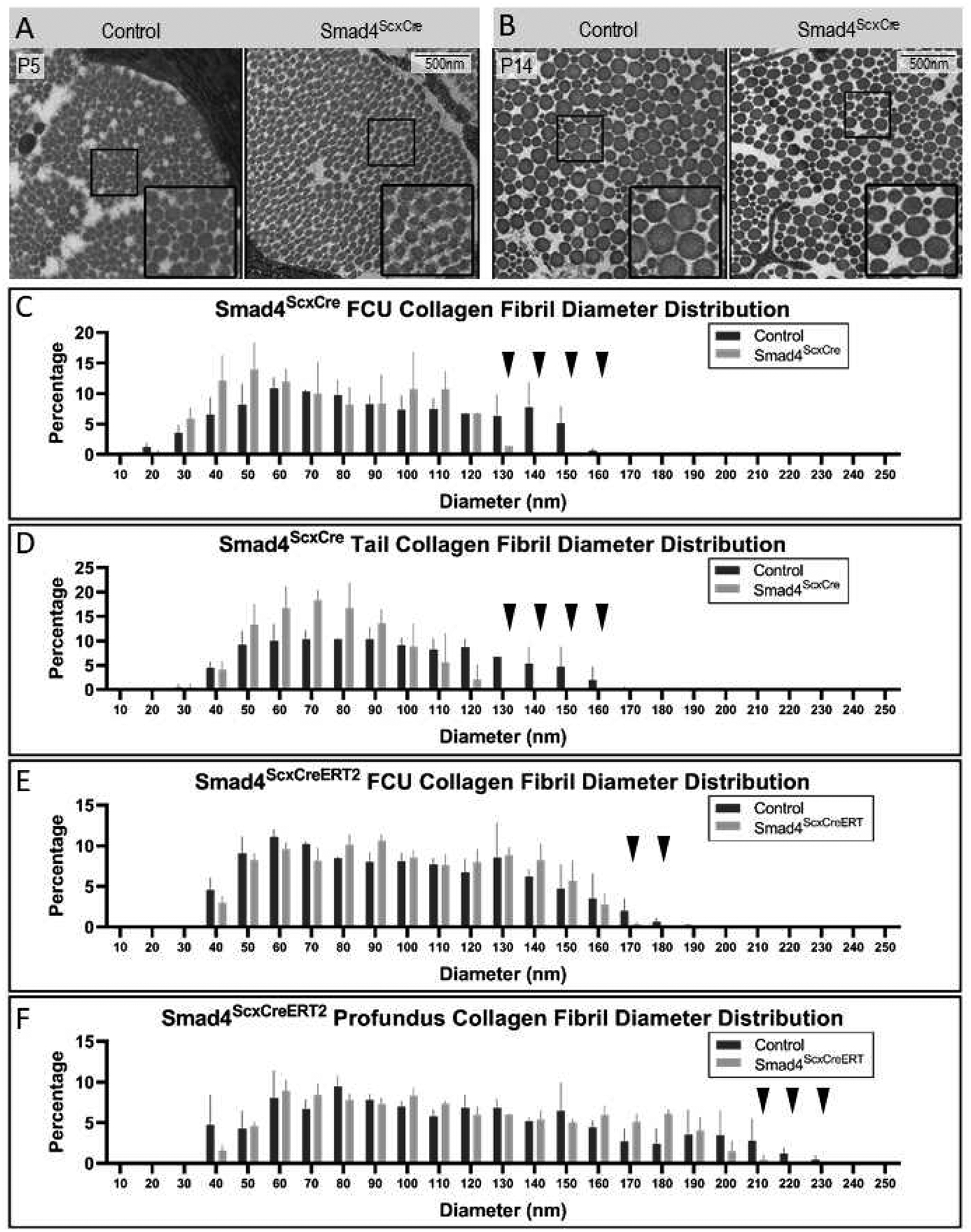 Figure 5: