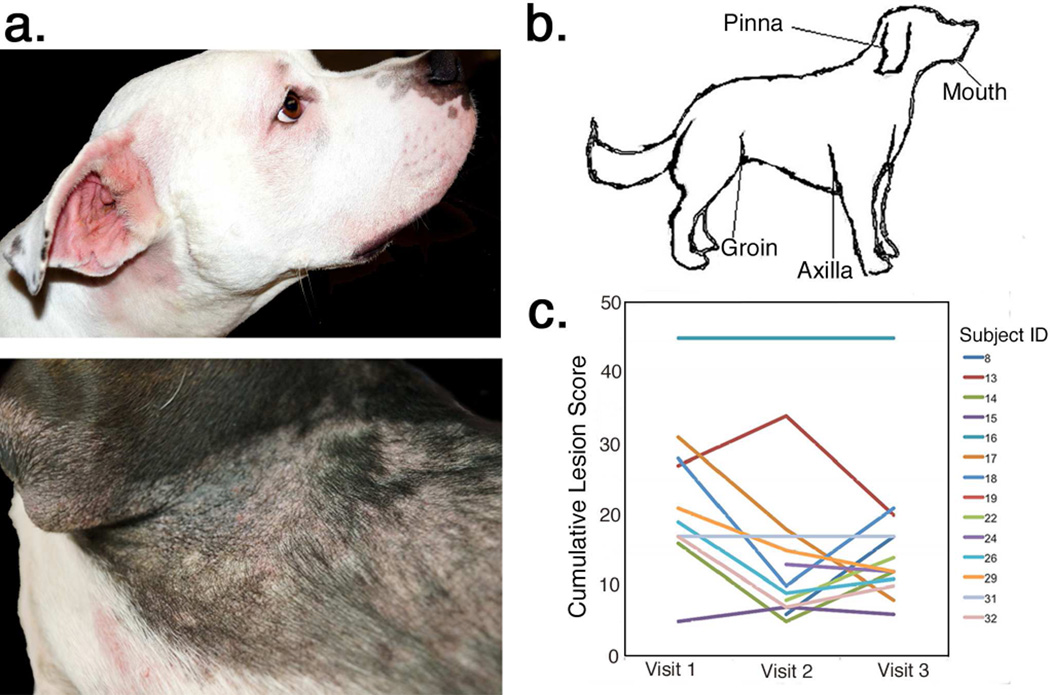 FIGURE 1