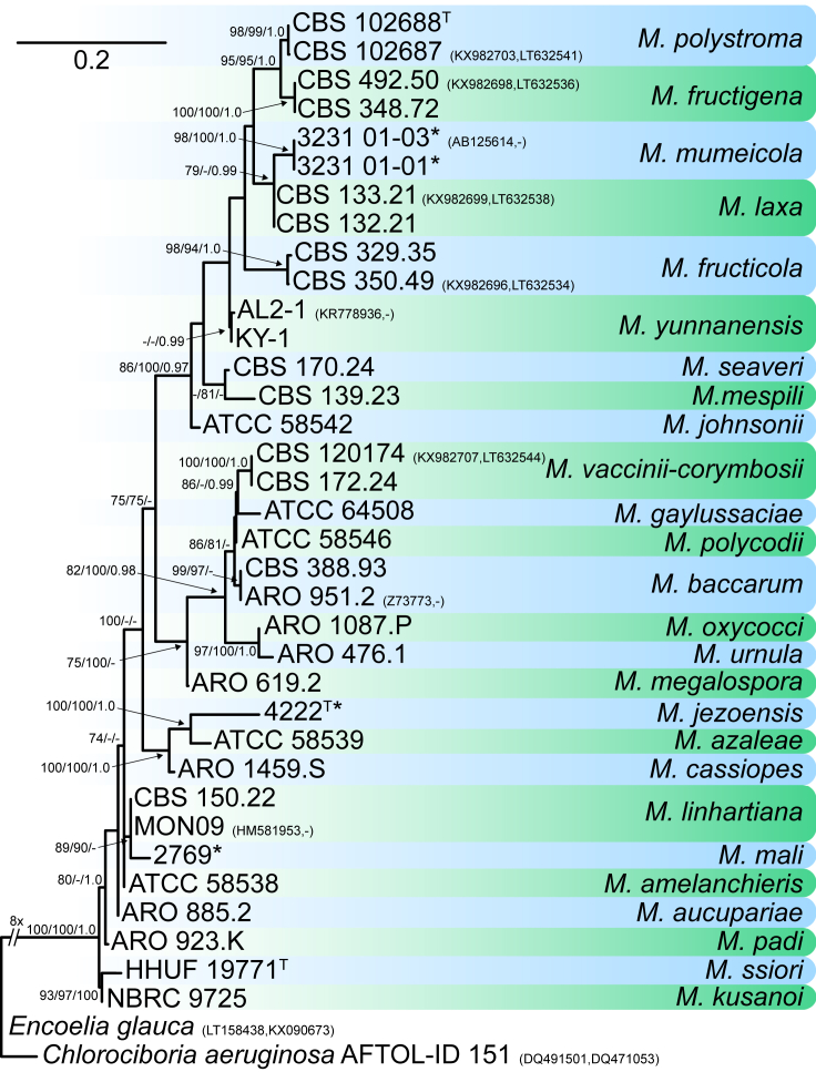 Fig. 36