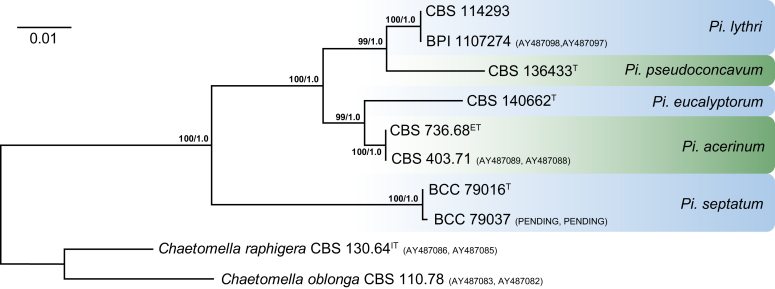 Fig. 45