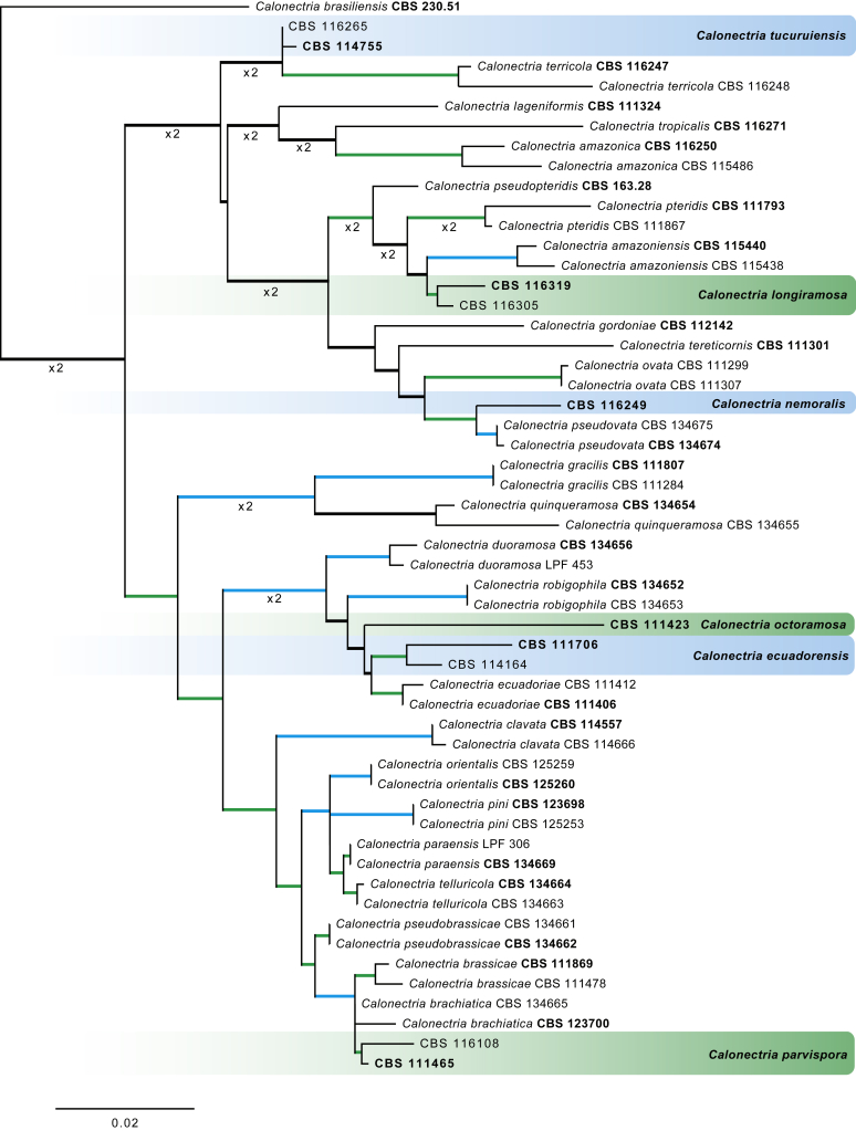 Fig. 11