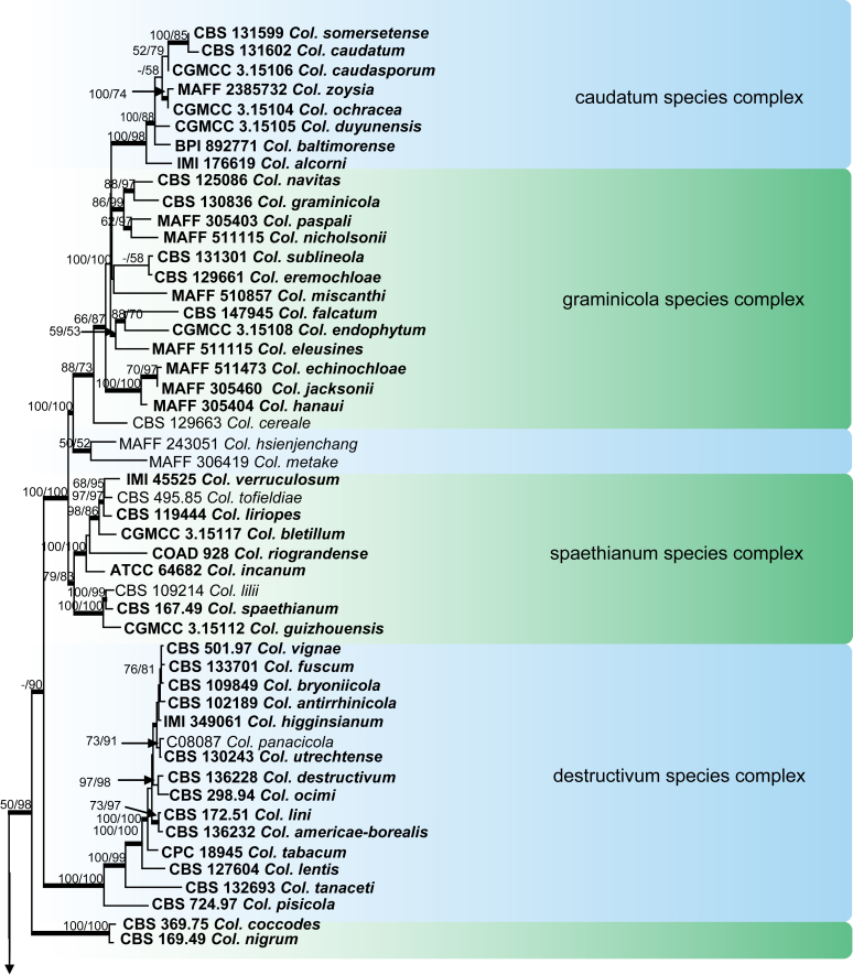 Fig. 26