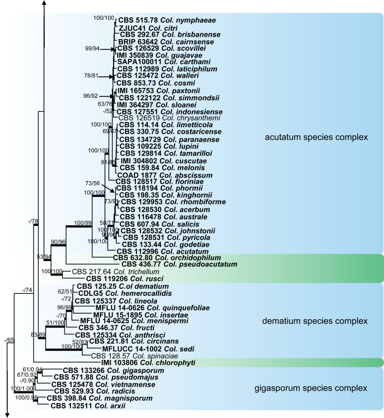 Fig. 26