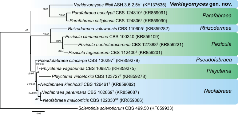 Fig. 38