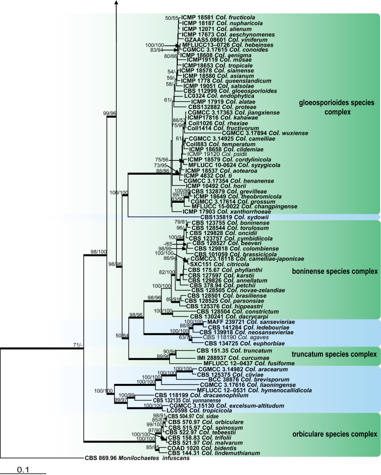 Fig. 26