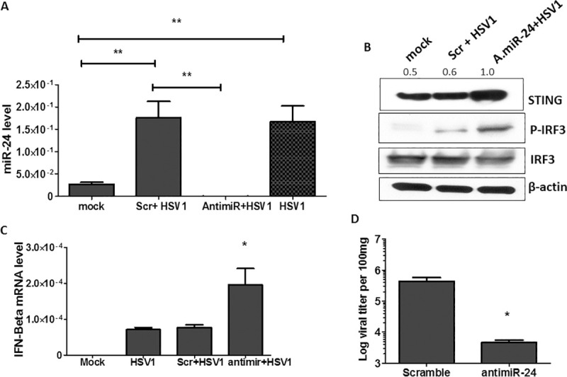 Fig 6