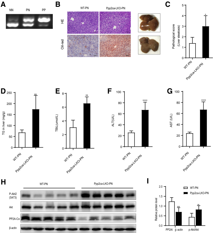 Figure 6