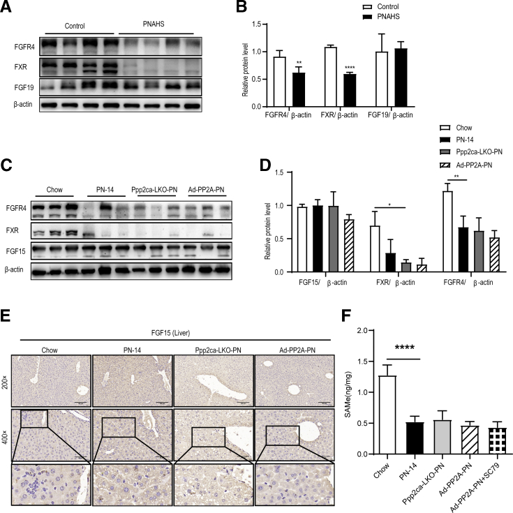 Figure 13