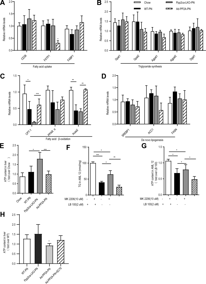 Figure 10