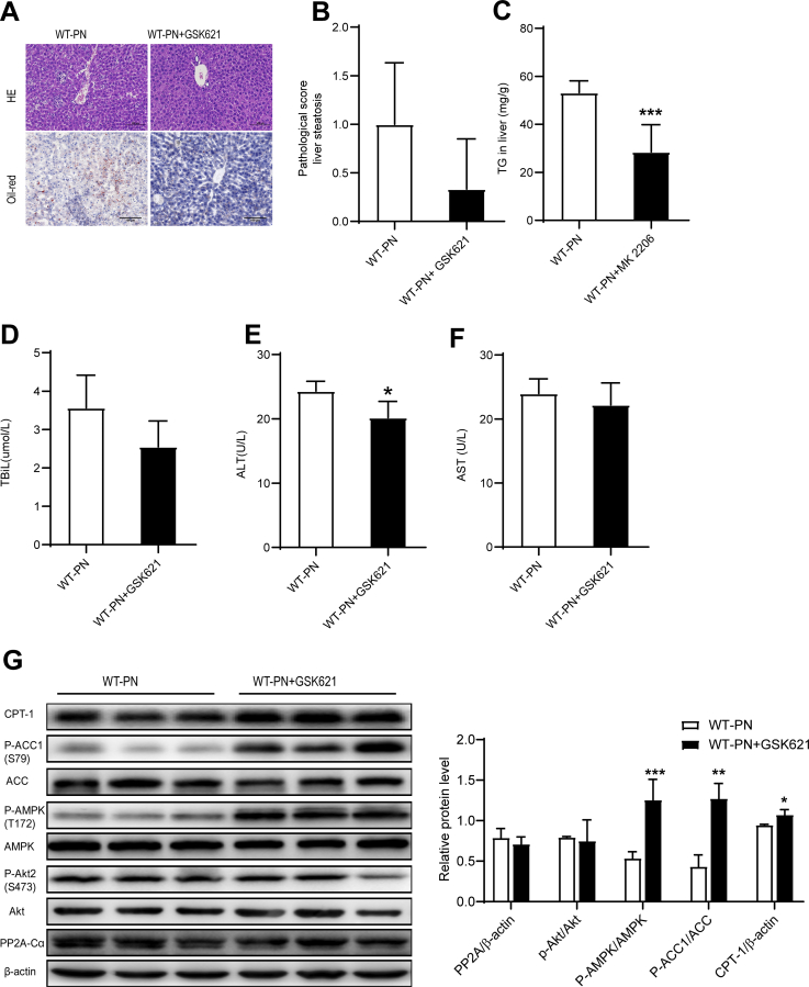 Figure 12