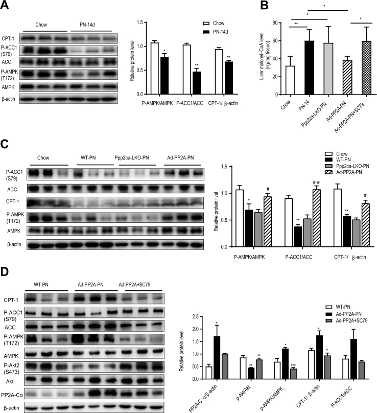 Figure 11