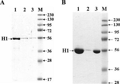 FIG. 8.