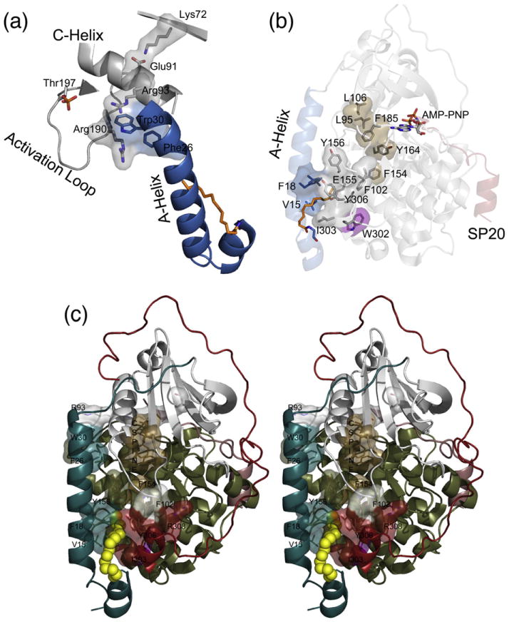 Fig. 7