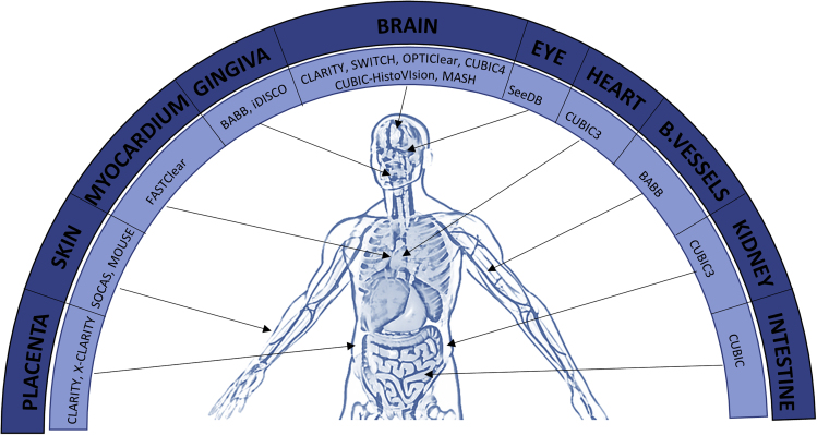 Figure 6