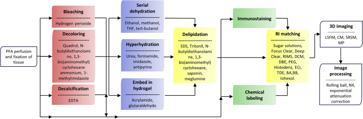 Figure 2