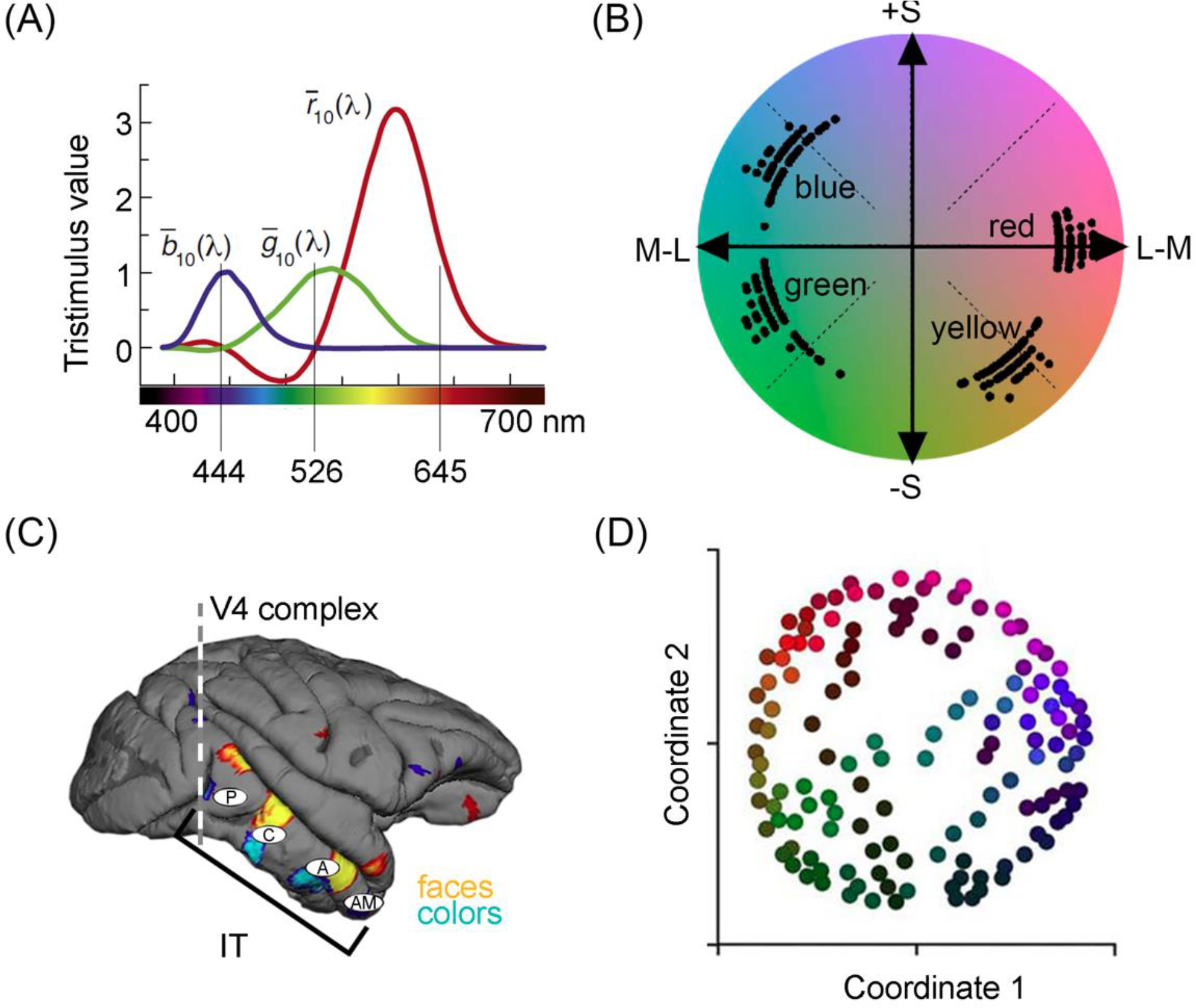 Figure 2.