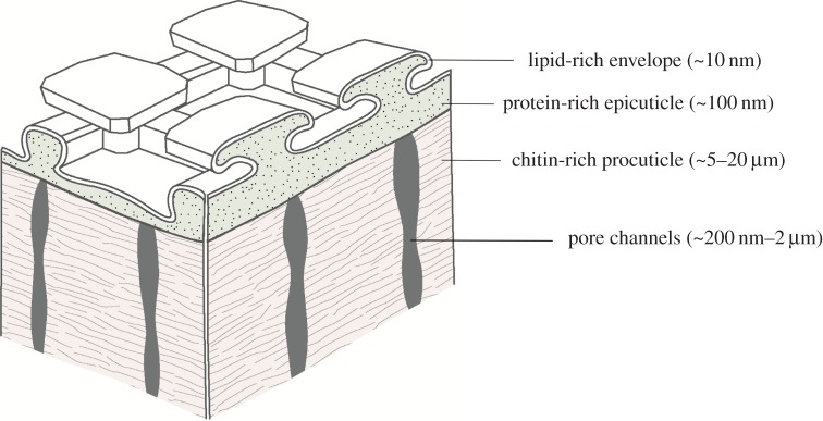 Figure 6.