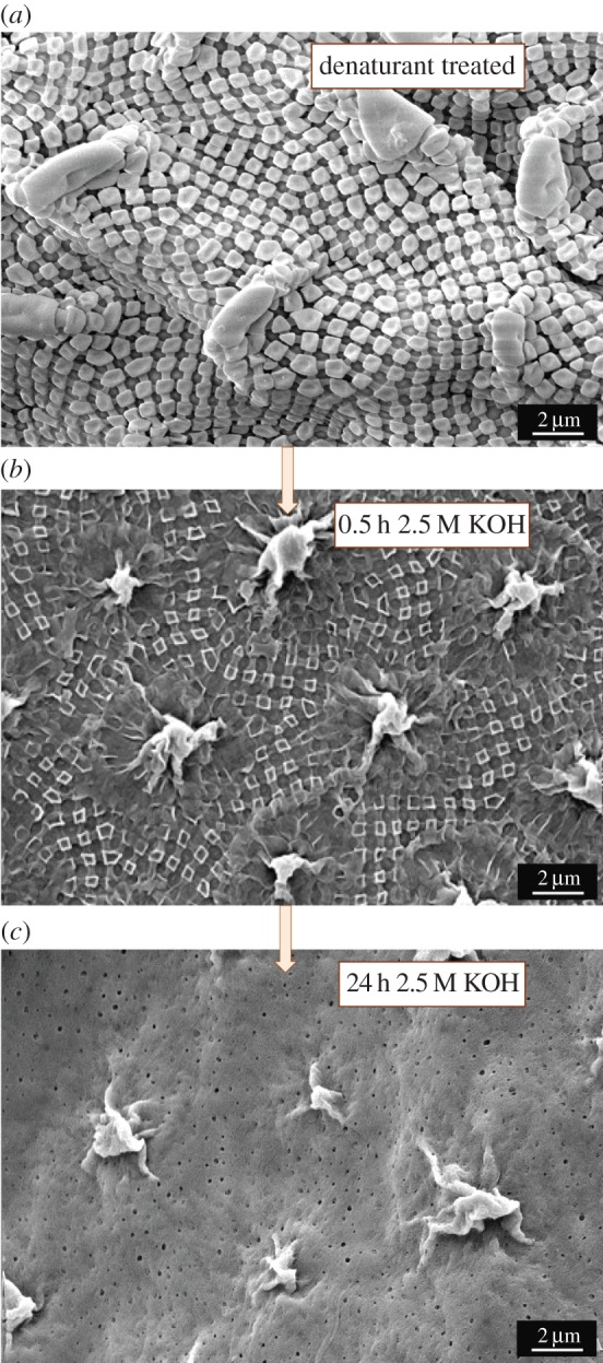 Figure 4.