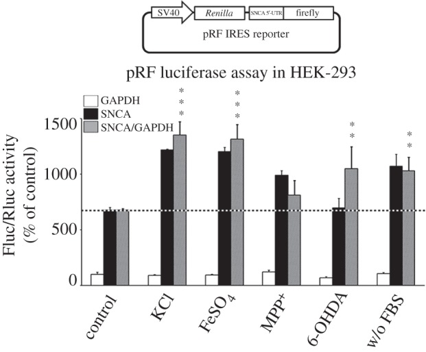 Figure 11.