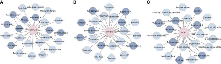 Figure 11