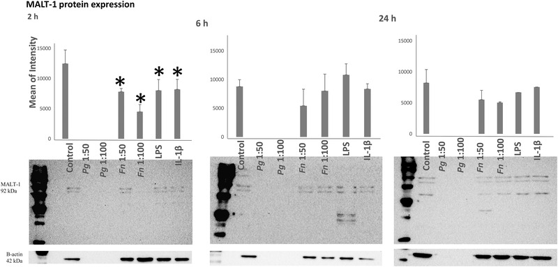 FIGURE 3