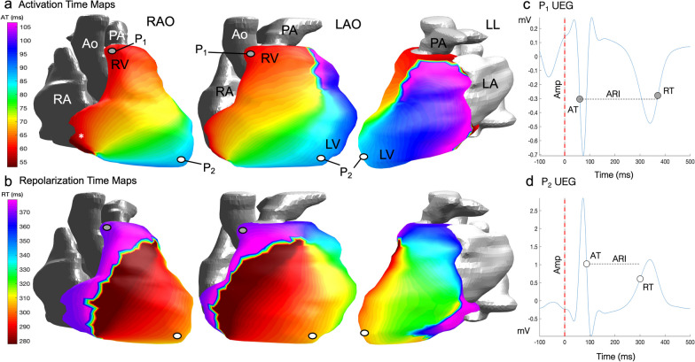 Fig. 4