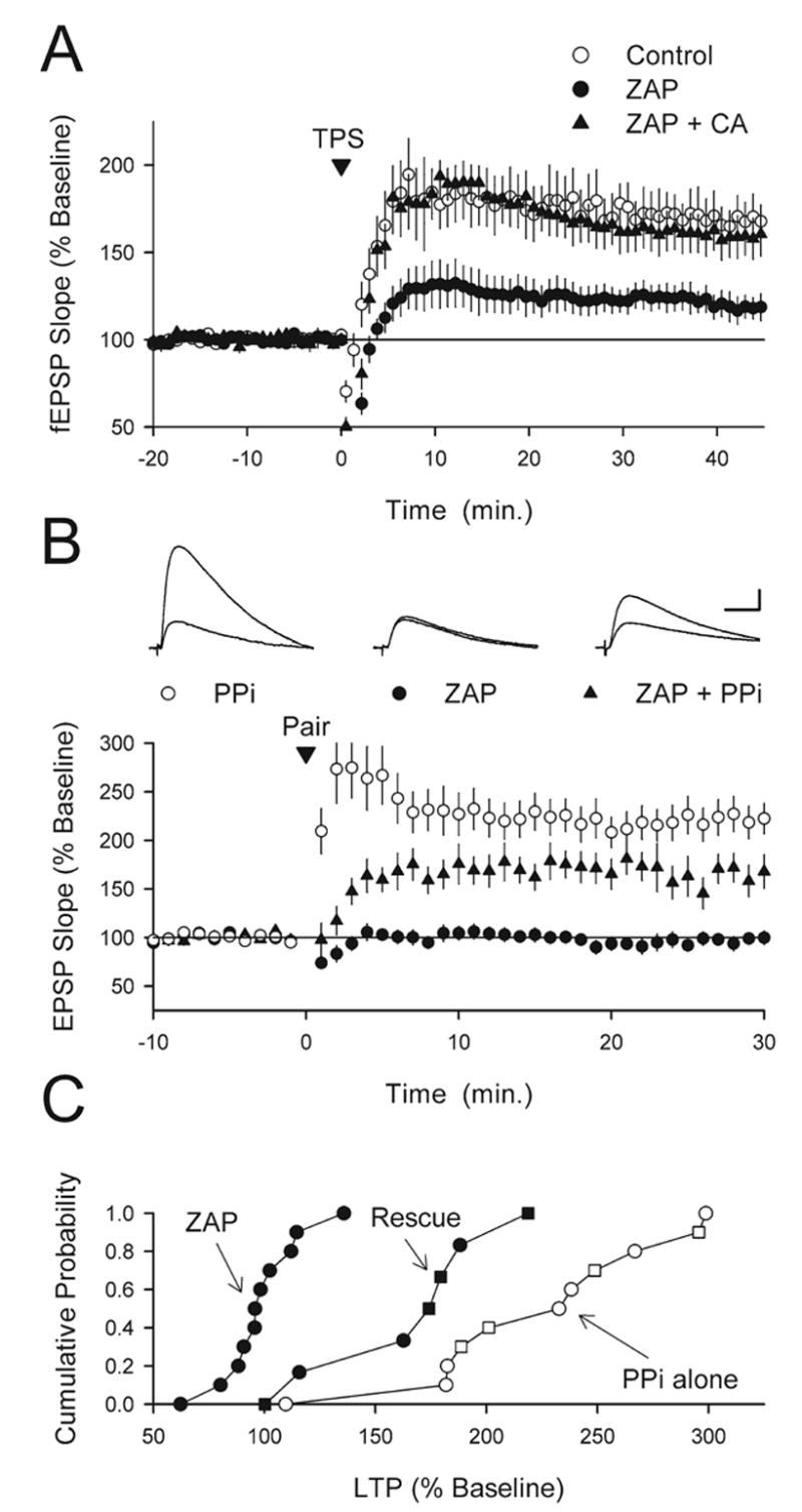 Fig. 7