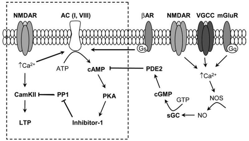 Fig. 10