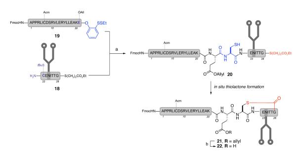 Scheme 5