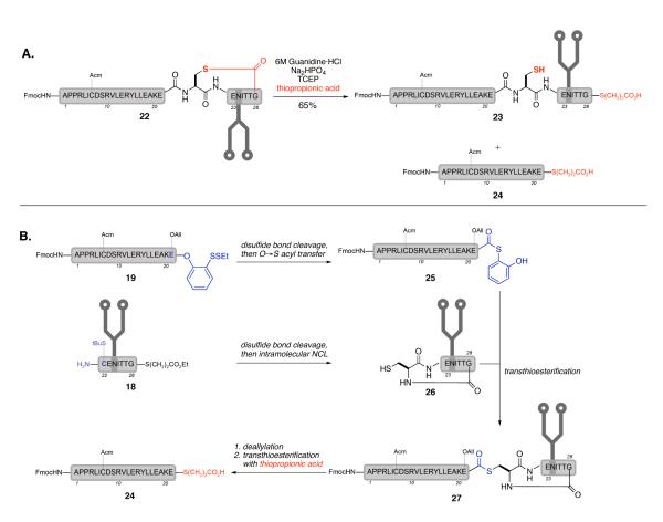 Scheme 6