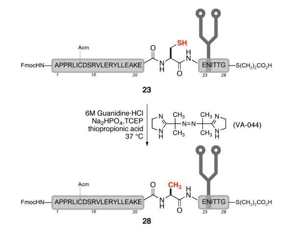 Scheme 7