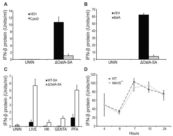 FIGURE 4