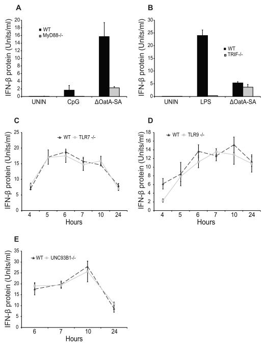 FIGURE 3