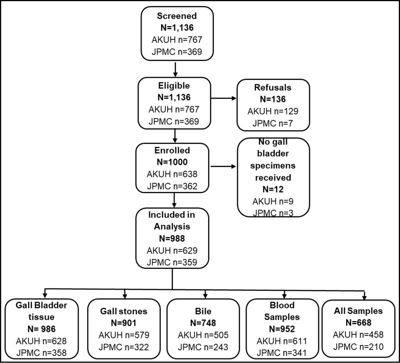 Fig 1