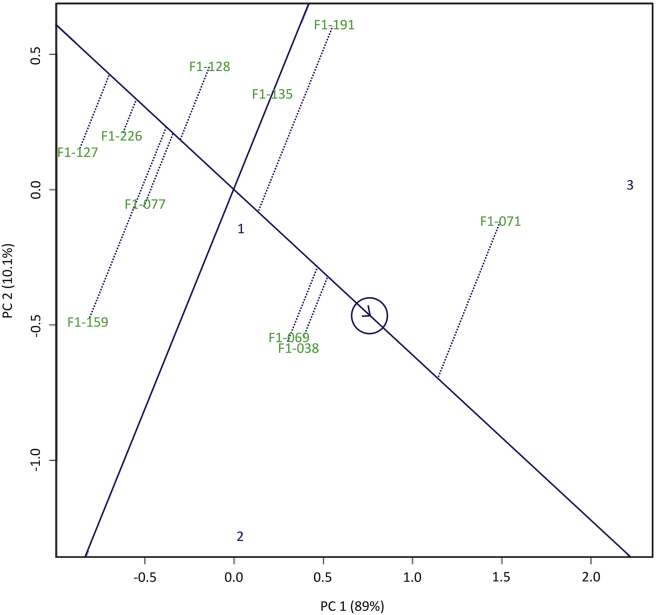 Figure 5