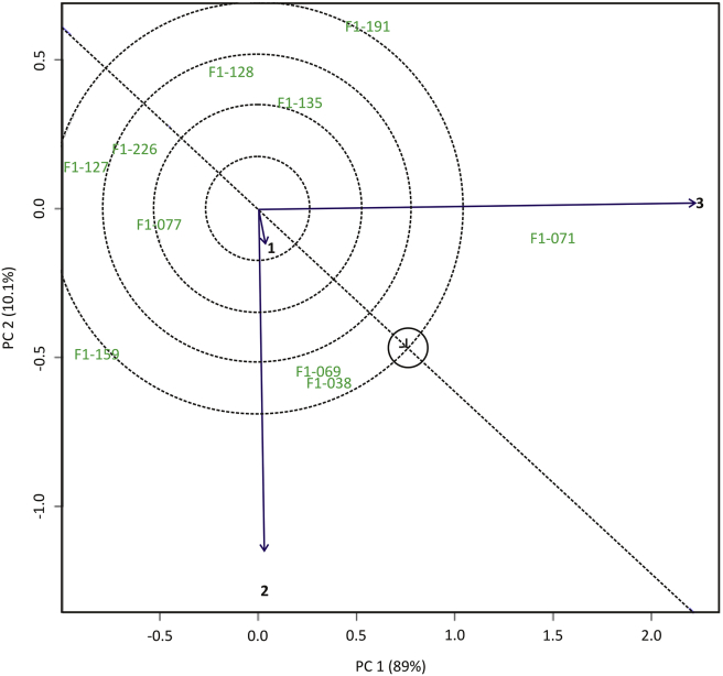 Figure 4