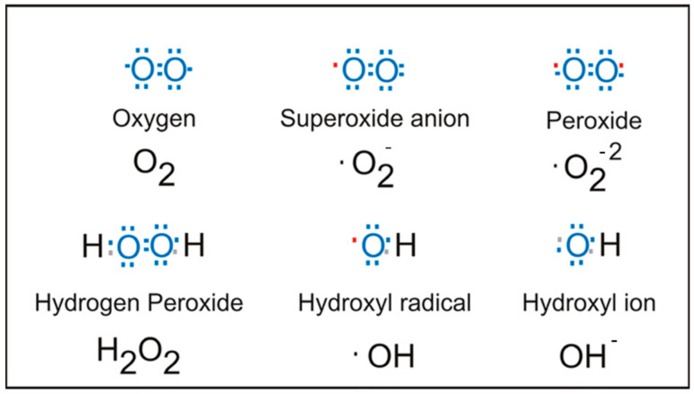 Scheme 3