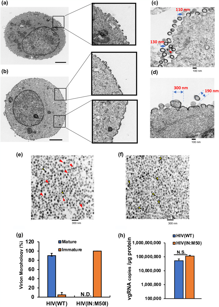 FIG 2