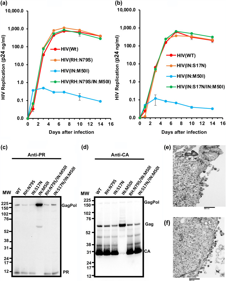 FIG 6