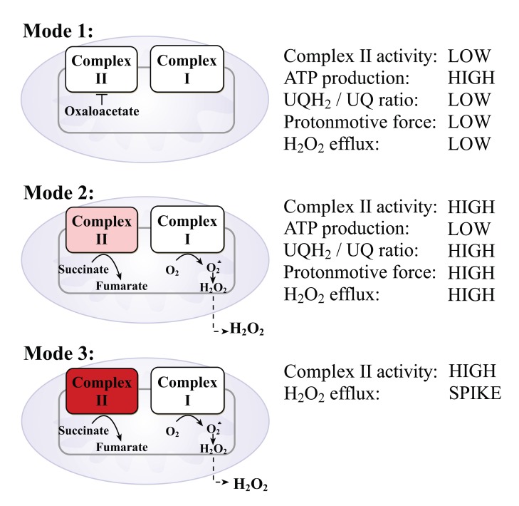 Fig. (3)