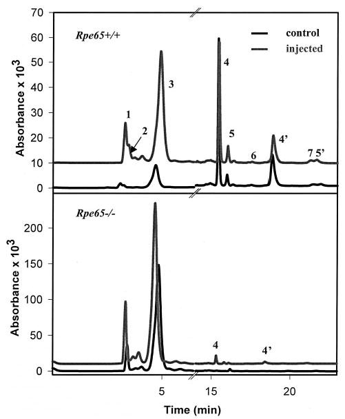 Fig. 10