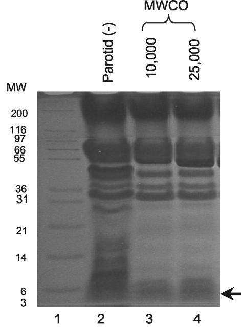 FIG. 5.