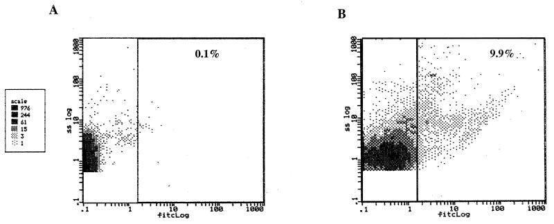 FIG. 5