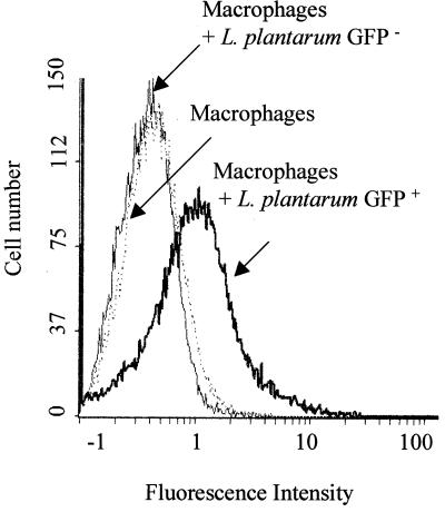 FIG. 4