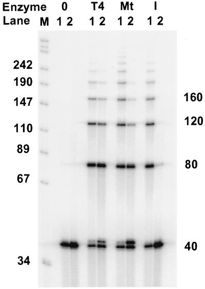 FIG. 5